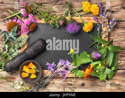 Set di erbe, piante e infiorescenze in una scatola di legno.spazio copia Foto Stock