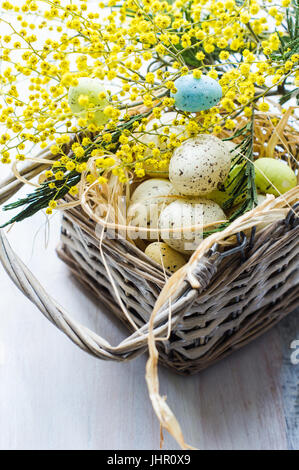 Pasqua festosa cornice con luminoso giallo mimosa (acacia) Fiori e uova di pasqua a su sfondo di legno Foto Stock