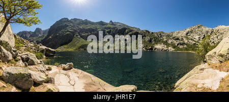 Vista panoramica di albero in una giornata di sole sulle rive di un verde Lac de Melo sopra la Valle della Restonica in Corsica centrale Foto Stock