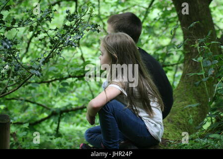 Fratello e Sorella sat in un albero, bambini che arrampicarsi sugli alberi, tree house Foto Stock