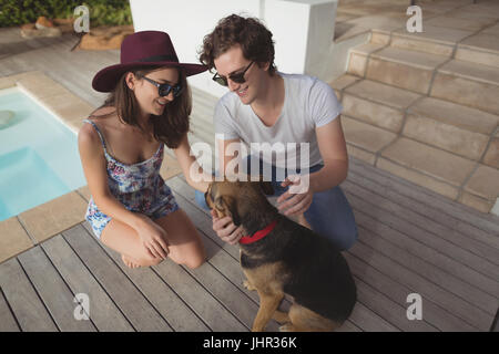 Coppia sorridente petting un cane insieme vicino a lato piscina a casa Foto Stock