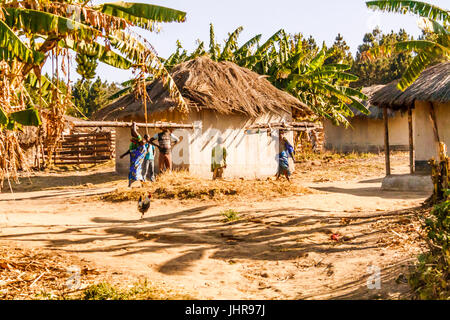 Due donne del Malawi a piedi attraverso un villaggio che trasportano tronchi di alberi sulle loro teste una donna ha un bambino sulla schiena. Foto Stock