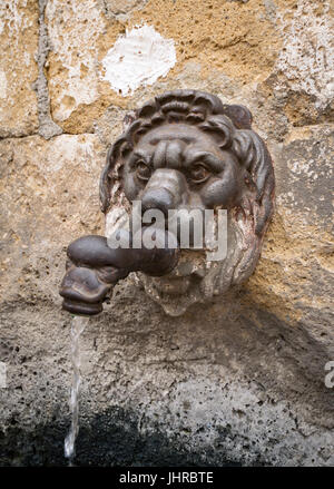 Antica fontana a forma di testa di leone. Foto Stock