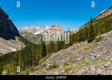 Bei paesaggi di montagna da escursionismo Stanley Glacier trail Kootenay National Park B.C. Canada Foto Stock