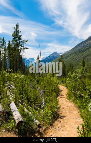 Bei paesaggi di montagna da escursionismo Stanley Glacier trail Kootenay National Park B.C. Canada Foto Stock