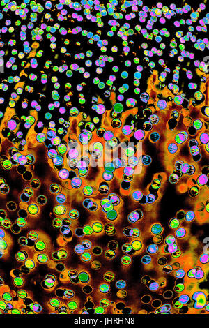 Bokeh-astrazione: Orange coralli caduto nel pop art style fantasie di notte Foto Stock