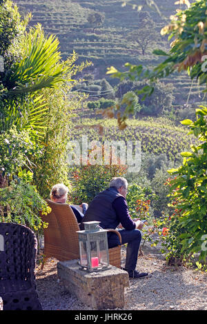 Giovane godono di vista dalla Quinta de Santo Antonio porta terrazzati vigneti lungo il fiume Douro Portogallo Foto Stock