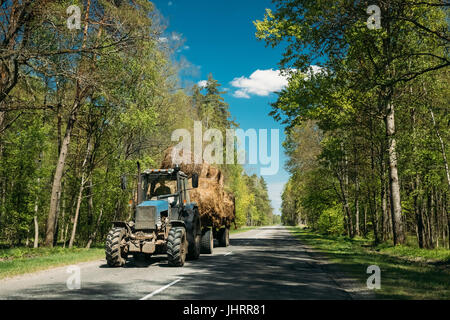 Il trattore sta portando il fieno sul carrello. Trattore in movimento su strada di campagna attraverso la foresta in Europa. Strada asfaltata contro lo sfondo di Eastern European Land Foto Stock