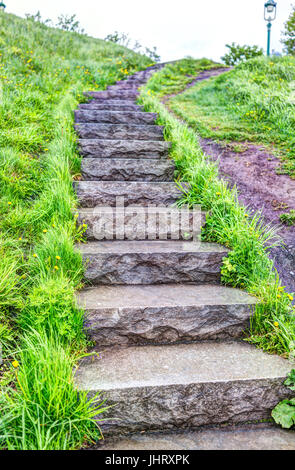 Closeup of wet stone steps looking up in green grass park during summer Foto Stock