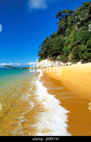 'Abel Tasman Nationalpark, Tasmansee, Nelson Regione, Isola del Sud della Nuova Zelanda; febbraio ', Abel Tasman Nationalpark, Suedinsel Neuseeland; Februar 20 Foto Stock