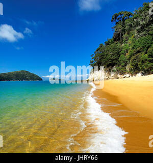 'Abel Tasman Nationalpark, Tasmansee, Nelson Regione, Isola del Sud della Nuova Zelanda; febbraio ', Abel Tasman Nationalpark, Suedinsel Neuseeland; Februar 20 Foto Stock