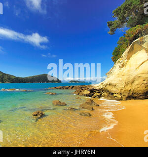 'Abel Tasman Nationalpark, Tasmansee, Nelson Regione, Isola del Sud della Nuova Zelanda; febbraio ', Abel Tasman Nationalpark, Suedinsel Neuseeland; Februar 20 Foto Stock