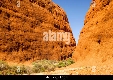 Dentro e intorno al massiccio del Kata Tjuta (Olgas) Australia centrale Foto Stock