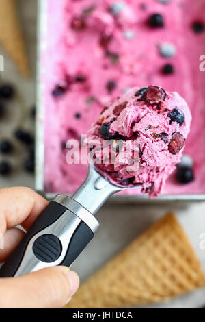 Il ribes Gelato Foto Stock