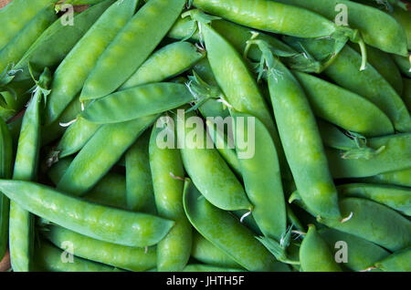 Mature e organic pea pod Foto Stock