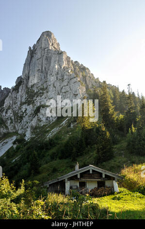 Pomeriggio di luce alla capanna Hoerndlalm nelle Alpi di Chiemgau con vista al monte Hoerndlwand o Hoerndl, Alta Baviera vicino a Ruhpolding, Germania Foto Stock