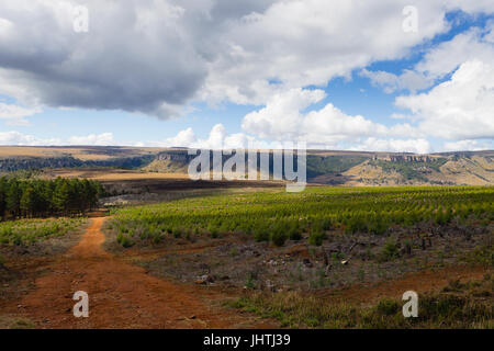 Paesaggio dal Fiume Blyde Canyon lungo la strada a Graskop. South African panorama. Panorama rurale Foto Stock