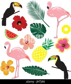 Illustrazione vettoriale di elementi tropicali, uccelli, foglie, ananas, fiori Illustrazione Vettoriale