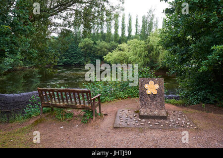 Ripristinata la ghiaia Pit Award dalla sabbia e ghiaia saga di associazione a Est Pool di palude, Brandon Marsh Riserva Naturale, Coventry, Warwickshire, Regno Unito Foto Stock