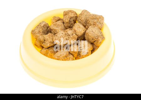 Alimentazione per cuccioli e cani di razze piccole. Foto Studio Foto Stock