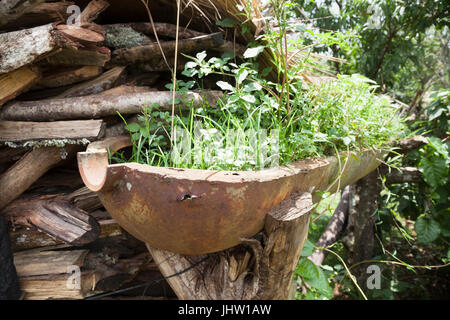 Raccolto mortale da più di sinistra dalla guerra del Vietnam. Ruggine americana involucri bomba riciclato per l'uso in Xiangkhouang, Provincia, Laos Foto Stock