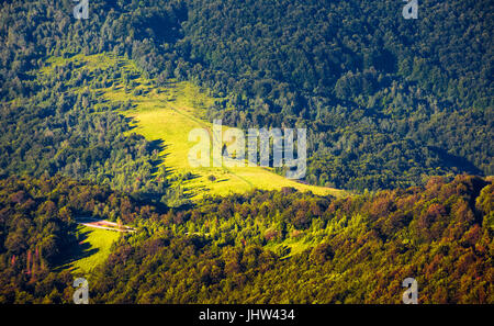 Collina con radura nel bosco misto. bellissima natura sfondo Foto Stock