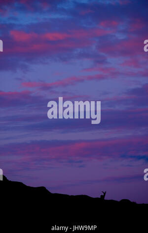 Feste di addio al celibato notte sulla a Ardnamurchan, luglio 2017 Foto Stock