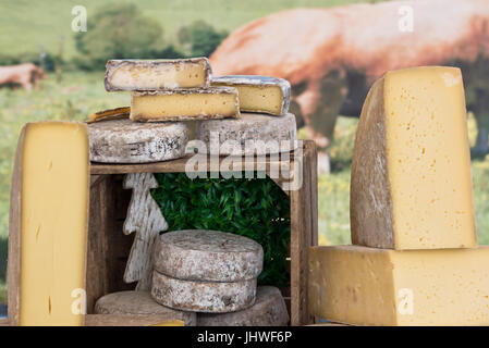 Pezzi di formaggi diversi presso il locale mercato europeo. Inquadratura orizzontale con il fuoco selettivo Foto Stock