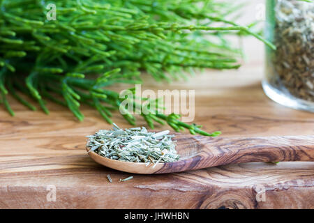 Fresche e secche equiseto su uno sfondo di legno Foto Stock