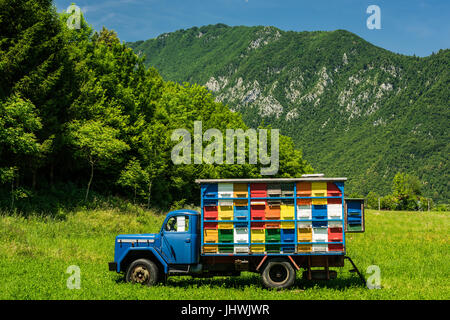 Colorfull e vibrante alveari sul vecchio carrello in Slovenia. Prato in Alpi Giulie,Parco del Triglav, Slovenia. Foto Stock