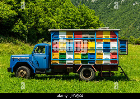 Colorfull e vibrante alveari sul vecchio carrello in Slovenia. Prato in Alpi Giulie,Parco del Triglav, Slovenia. Foto Stock