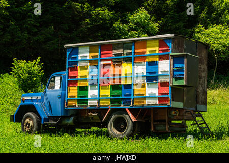 Colorfull e vibrante alveari sul vecchio carrello in Slovenia. Prato in Alpi Giulie,Parco del Triglav, Slovenia. Foto Stock