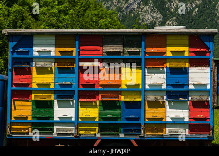 Colorfull e vibrante alveari sul vecchio carrello in Slovenia. Prato in Alpi Giulie,Parco del Triglav, Slovenia. Foto Stock