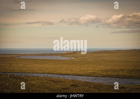 Penisola Assynt, Scozia - Giugno 7, 2012: pianeggiante con vegetazione asciutta e tagliato dal torrente e lago scende all'Oceano Atlantico. Twilight sky con il bianco Foto Stock