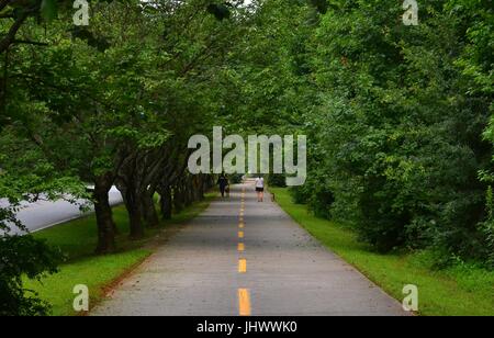 Due donne a piedi i cani e uomo jogging in un tranquillo viale alberato percorso ricreativo in un quartiere residenziale di primo mattino, Stone Mountain, Georgia Foto Stock