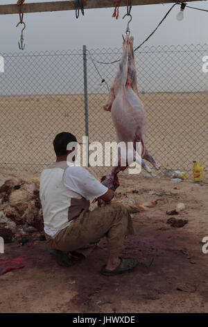 Halal macellaio di macellazione e di macellazione di una capra nel deserto in Kuwait Foto Stock