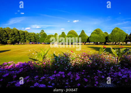 Una perfetta sera d'estate a Hampton Court Palace che mostra parte anteriore orientale giardini con le sue belle piante erbacee frontiere e famosi Yew antichi alberi. Foto Stock