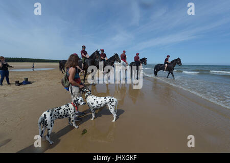 Holkham Beach, Norfolk, Regno Unito. 17 Luglio, 2017. La famiglia di cavalleria reggimento montato prendere parte a corsi di formazione e di relax sulla spiaggia di Holkham in Norfolk, Inghilterra come parte del loro campo estivo annuale dove cavalli e cavalieri si allontana da doveri cerimoniali a Londra. Dopo aver tenuto park in Trooping il colore e il compleanno del Queens Parade mercoledì 12 luglio, il Reggimento montato girato fuori per la sua parata finale di stagione, per accompagnare la Sua Maestà la Regina insieme con il re Felipe e Letizia regina di Spagna. Credito: MARTIN DALTON/Alamy Live News Foto Stock