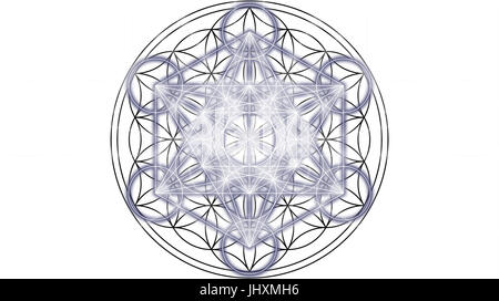 Fiore della Vita e merkaba su sfondo bianco. Geometria Sacra. Foto Stock