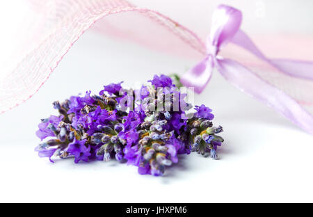 Lavanda fiori bouquet e tessuto rosa su bianco Foto Stock