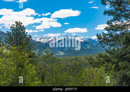 Affacciato su montagne della Ponderosa Pines Scenic Byway Foto Stock