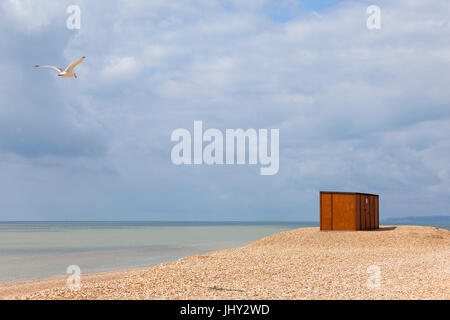 Un rifugio di Dungeness beach nel Kent con un gabbiano battenti in scena e dorata spiaggia di ciottoli, un bel cielo blu e verde chiaro mare Foto Stock