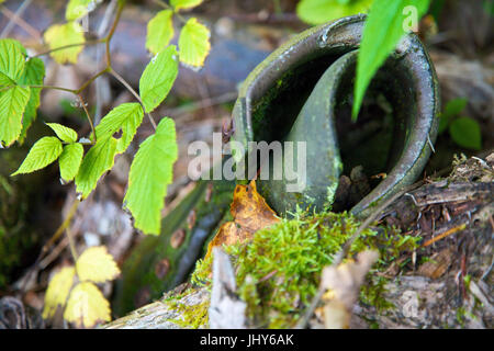 Viaggiare calzatura marcisce in legno - marciume escursioni in barca, Wanderschuh verrottet im Wald - marciume escursionismo boot Foto Stock