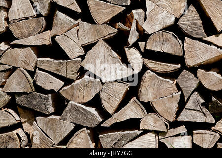 Legna da ardere pila, fuoco legno, pila - pila di legna da ardere, Brennholzstapel, Feuerholz, Holzstapel - catasta di legna da ardere Foto Stock