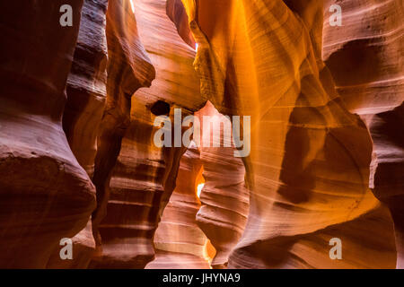 Luci e ombre nella parte superiore Antelope Canyon, il parco tribale Navajo, Arizona, Stati Uniti d'America, America del Nord Foto Stock