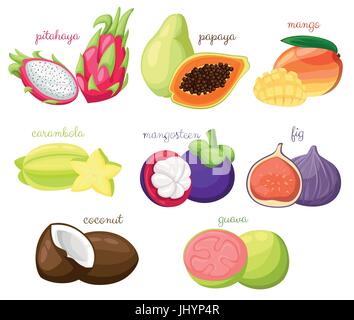 Frutti Esotici set di vettore e succosa frutta matura papaya mango guava pitahaya mangosteen fig coconut carambole cartoon organico vettore isolato illustratio Illustrazione Vettoriale