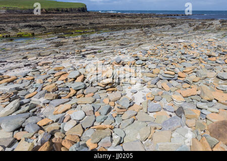 Riva del mare con la bassa marea tra Brough di Birsay Terraferma e isole Orcadi Scozia, Regno Unito Foto Stock