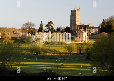 St James Chiesa e pecore al pascolo, Chipping Campden, Cotswolds, Gloucestershire, England, Regno Unito, Europa Foto Stock