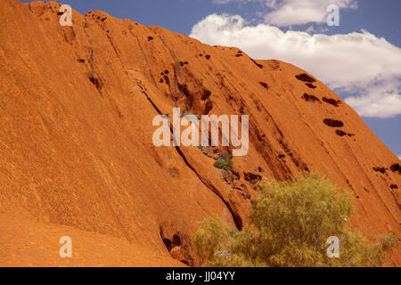 Uluru (Ayers Rock), close up viste le differenti zone di Uluru, rock gardens, fori per l'acqua, sentieri, grotte di roccia, acqua caduta sentieri, vegetazione ho Foto Stock