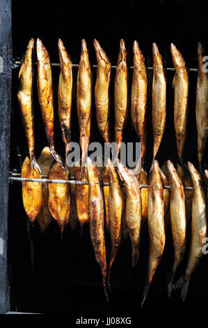 Fresche tradizionali di pesce affumicato in fumatore Foto Stock